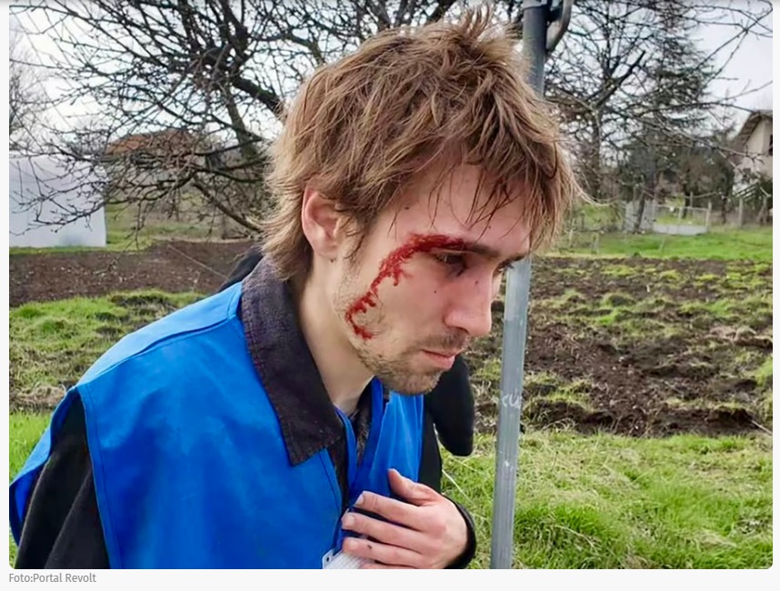 Lazar Dinić, izvor, Portal Revolt