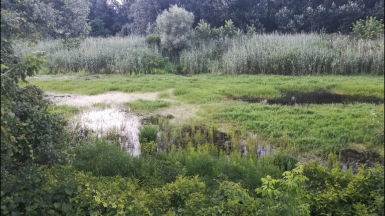 SNS \"Milenijum\" kupuje Institut da ude na Ratno ostrvo | СРБИН.инфо