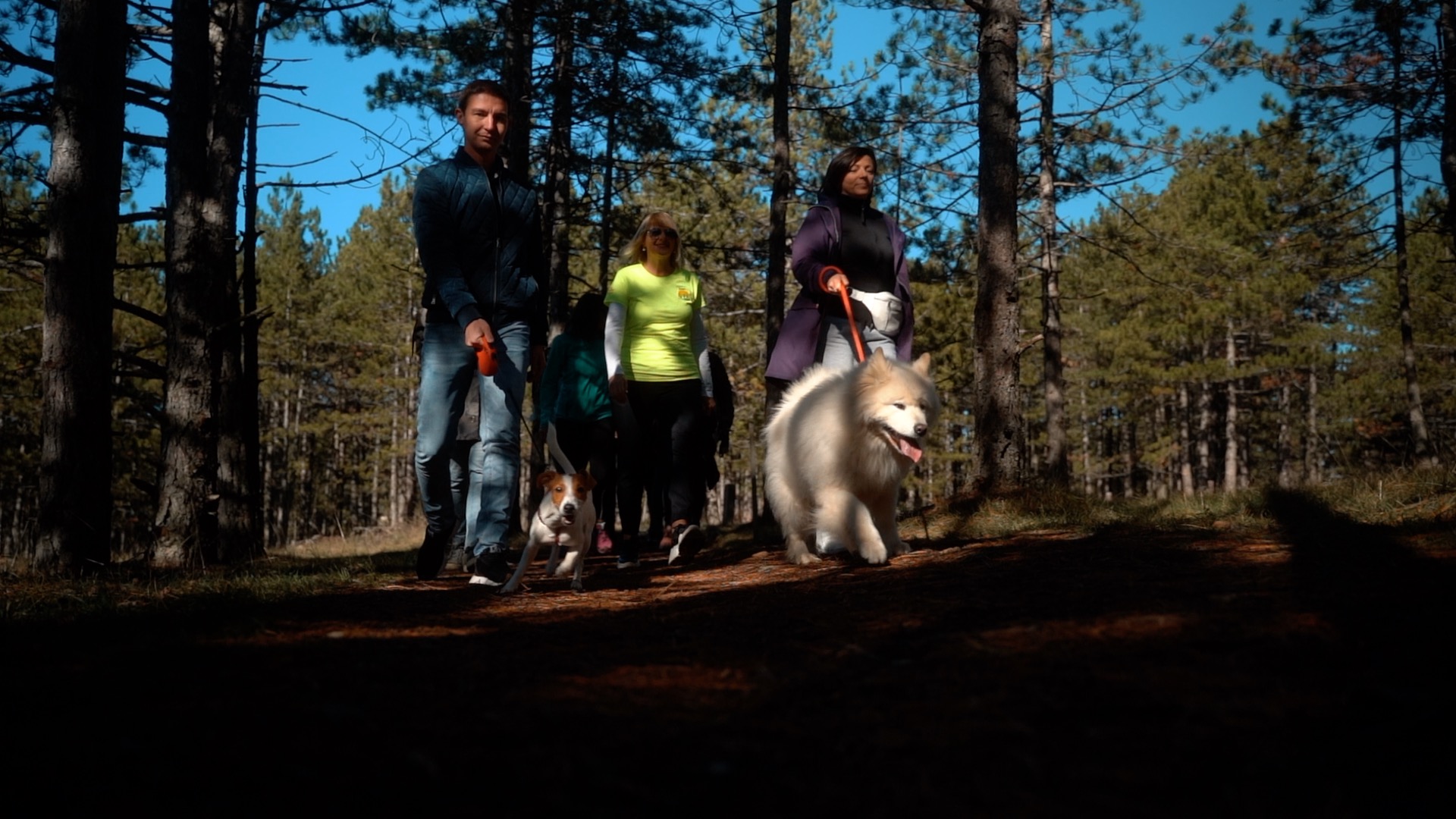Zlatibor "pet friendly" destinacija 10 predloga za odmor sa kućnim ljubimcima СРБИН.инфо
