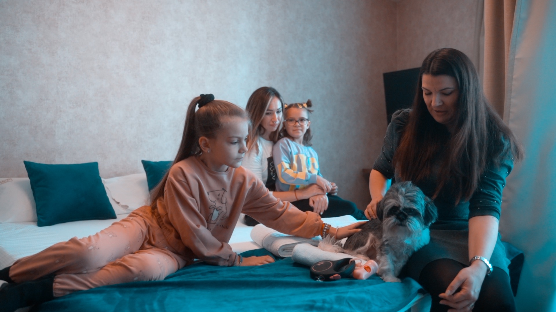 Zlatibor "pet friendly" destinacija 10 predloga za odmor sa kućnim ljubimcima СРБИН.инфо