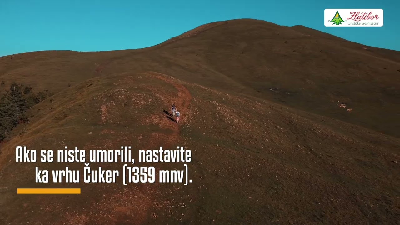 Zlatibor "pet friendly" destinacija 10 predloga za odmor sa kućnim ljubimcima СРБИН.инфо