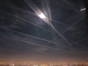 Прво животиње а после људи! У САД почело вакцинисање паса и мачака из ваздуха