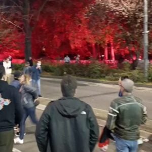 „СНС одбори добили налог да гласају до 10 часова, а потом изазову немире у Београду“!