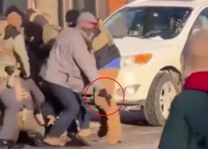 Хаос у Минесоти: Брутална ликвидација медицинског техничара након разоружавања?
