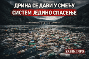 ДРИНА ПОСТАЛА ДЕПОНИЈА: Академици упозоравају – без система нема спасавања реке