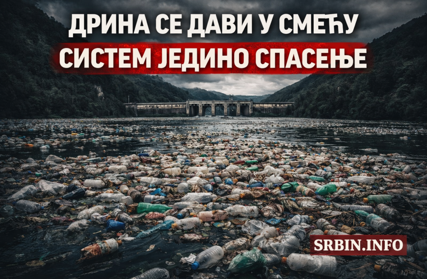 ДРИНА ПОСТАЛА ДЕПОНИЈА: Академици упозоравају – без система нема спасавања реке
