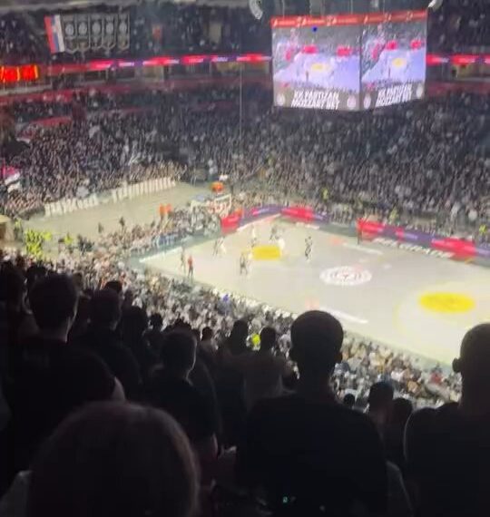 Гробари поново вређали Вучића и Мијаиловића (ВИДЕО)
