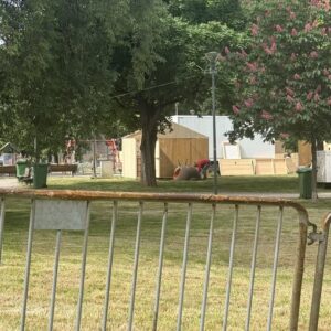 У затвору преминуо члан обезбеђења из Ћациленда, који је покушао да убије старију жену пред унуком на Новом Београду