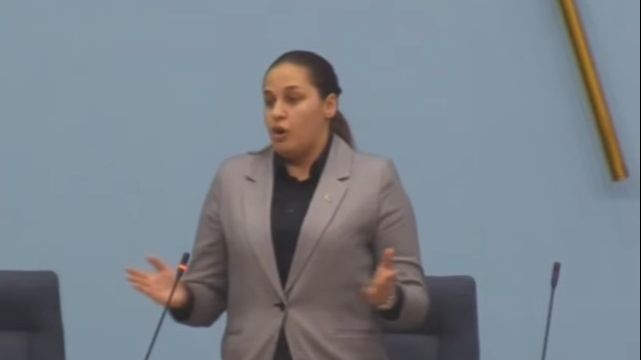 Потпредседница Скупштине РС слупала службени „ауди“ у четири ујутру: Пала с надвожњака на кров
