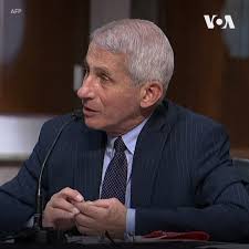 Талси Габард објавила документе: Фаучи радио на прикривању лабораторијског порекла ковида (ВИДЕО)