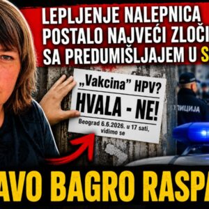 Нада Гладовић: Полицијо, хвала ти што штитиш народ од налепница!