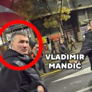 Влада Мандић у Скај препискама: Спрема се оптужница за прљаве послове браће Вучић