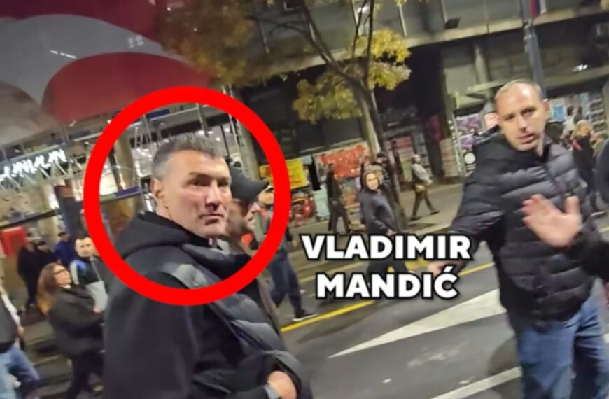 Влада Мандић у Скај препискама: Спрема се оптужница за прљаве послове браће Вучић