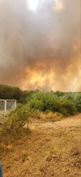 Катастрофално стање у Делиблатској пешчари: Ватра се шири, дим стигао до Вршца – Вучићев режим се чешља (ВИДЕО)