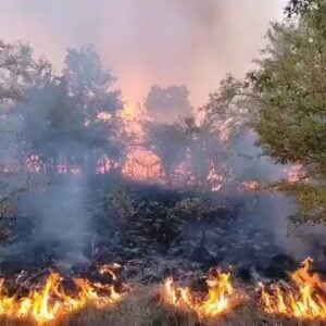 ПОЖАРИ ШИРОМ СРБИЈЕ: Најмање 10 кућа и објеката изгорело у селу Турјане! Нема пута (код Вучића), ватру гасе лопатама и напртњачама јер возила не могу да приђу!
