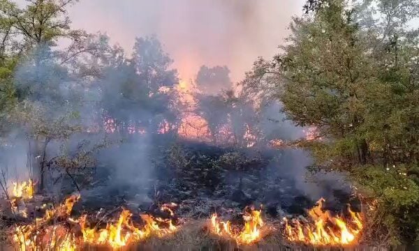 ПОЖАРИ ШИРОМ СРБИЈЕ: Најмање 10 кућа и објеката изгорело у селу Турјане! Нема пута (код Вучића), ватру гасе лопатама и напртњачама јер возила не могу да приђу!
