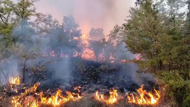 ПОЖАРИ ШИРОМ СРБИЈЕ: Најмање 10 кућа и објеката изгорело у селу Турјане! Нема пута (код Вучића),…