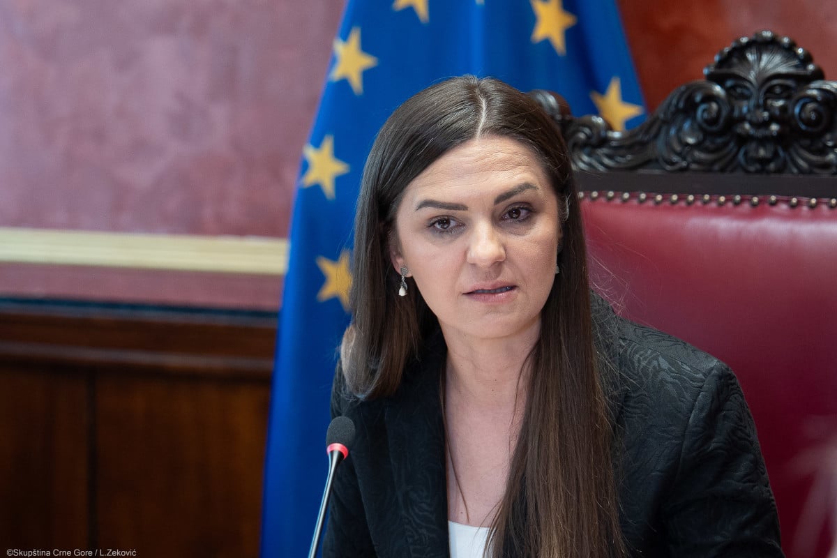 Андрић: Апсолутно сам против одлуке Ервина Ибрахимовића и МВП да пошаљу представника на прославу „Олује“