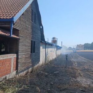 ДРАМА У СУРЧИНУ: Пожар са запуштене парцеле стигао до пилане – мештани и ватрогасци спречили катастрофу