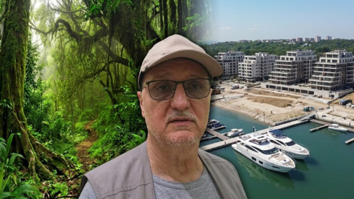 Директно са лица места: Хоће од Ратног острва да направе ново Дедиње?! Већ кренули да копају…(ВИДЕО)