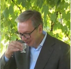Вучић се не трезни: Тражи крушку и ако ,,пије пети дан“; а Додик га товари: Немој претјерати! (ВИДЕО)