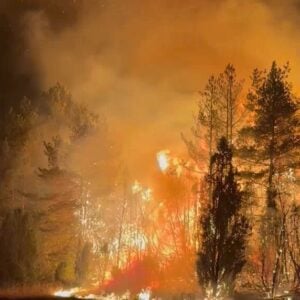 (ФОТО, ВИДЕО) Гори Србија, а Вучић са гости са Зеленским: Где су ватрогасци, хеликоптери?!