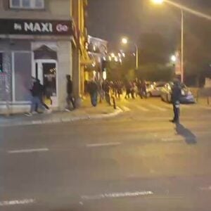 „Беже из ћациленда“: Погледајте снимак из Пионирског парка који су објавили студенти ВИДЕО