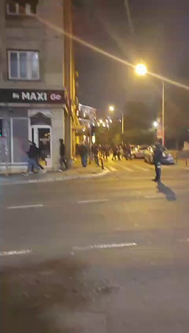 „Беже из ћациленда“: Погледајте снимак из Пионирског парка који су објавили студенти ВИДЕО