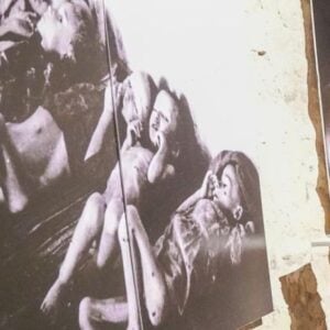 О најсвирепијем усташком злочину над Србима: Камени цвет из Пребиловаца — прича исписана на камену (ВИДЕО)