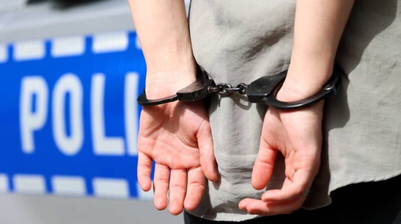 Хитно – ухапшен Александар! Није хтео да прими СНС пакет – за себе и мајку! Дошли и одвели га! (ВИДЕО)