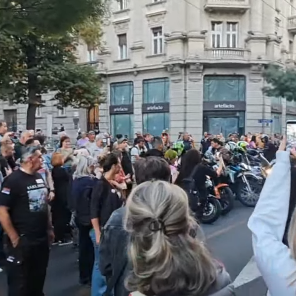 УЖИВО Студенти испред РИК-а: Вучићев режим би да спречи дијаспору да гласа